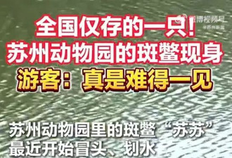 世界上最孤独的动物 中国唯一百岁动物现身 游客：看到有好运
