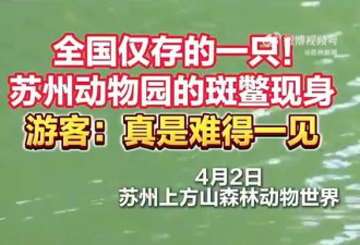 世界上最孤独的动物 中国唯一百岁动物现身 游客：看到有好运