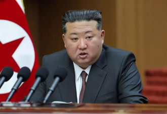 朝鲜IT大军入侵欧美 面试要求说出“金正恩是XX”
