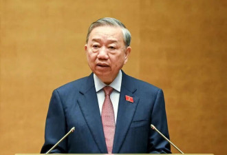 刚连任，越共总书记苏林就要迫不及待访华