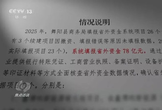 虚报77亿,9.6亿投资凭空造,河南三地为何数据造假