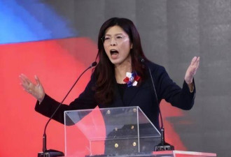 郑丽文的婚姻：女主外男主内，不生育孩子