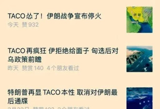 真假TACO（Trump Always Chickens Out）