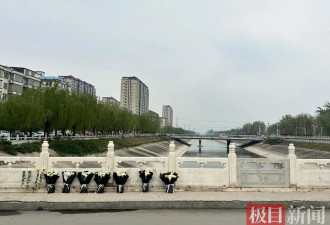 3男子营救落水女子4人均遇难，事发现场摆放鲜花