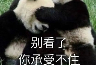 AI复活亲人？过于地狱笑话了....