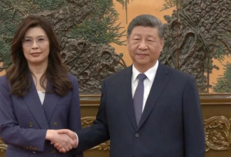 郑丽文习近平握手15秒 盛赞大陆在习领导下“成就非凡”