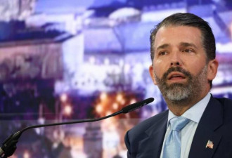 中国科企罕见躲过美国安审查，川普长子助力？
