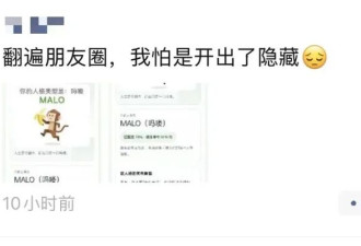 全网都在刷屏"SBTI 测试" 但我劝你慎做啊