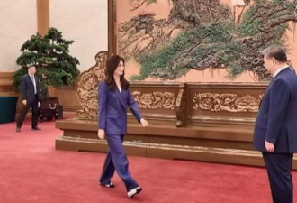 郑丽文访大陆的丑陋表演