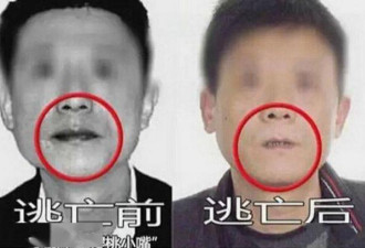这水果是毒品！中国却有6000万人上瘾