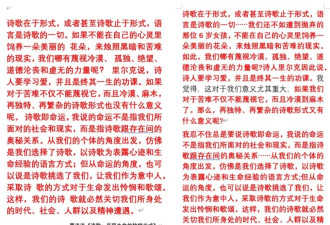 著名作家贾平凹之女贾浅浅又一篇论文被指抄袭