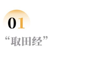 路在脚下，他们真把人生拍成了《西游记》 全网热议