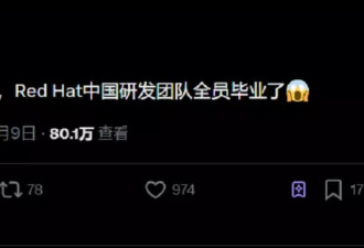 开源巨头，中国研发团队被一锅端了