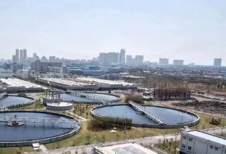 北京每天5700吨粪便 根本没运出五环 它们去了哪？