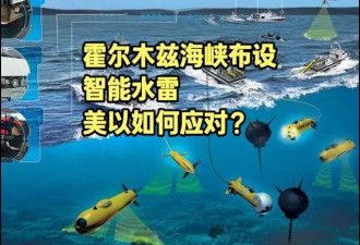 纽时揭海峡持续卡住原因:伊朗埋水雷自己却找不到