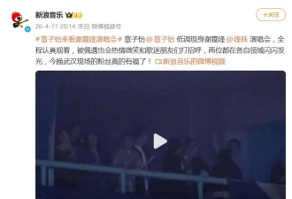 章子怡现身谢霆锋武汉演唱会，身着白T黑衣，头戴鸭舌帽，非常享受音乐现场