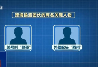 广西破获特大跨境偷渡案,历时31个月抓获69名组织者