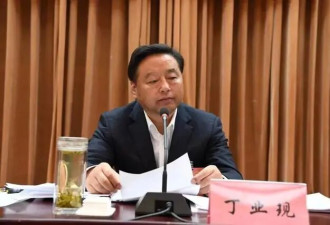 周末打虎 西藏人大常委会原副主任丁业现被查