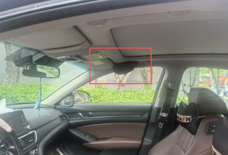 停车忘关窗 司机15分钟后回来吓傻了…