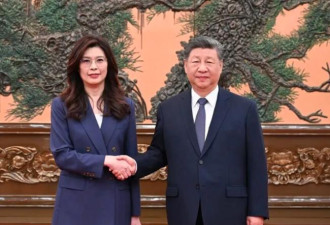 习近平无筹码自身难保 郑丽文丢尊严愿当棋子