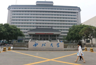 百年中国抄袭史里,贾浅浅的“翻车”最没技术含量