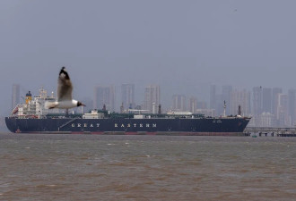 意外，经济学家乐见美军封锁荷莫兹