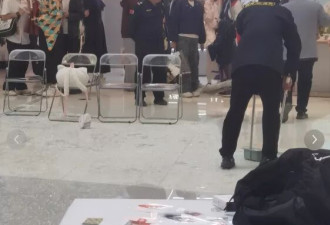 商场动漫展突降"玻璃雨" 多人带血狂奔 有人失明