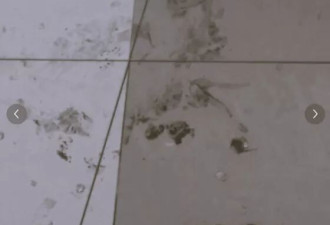 商场动漫展突降"玻璃雨" 多人带血狂奔 有人失明