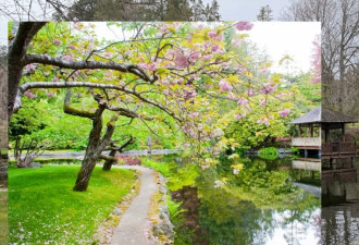 打卡去! 全球最美大学校园 BC有两所入榜
