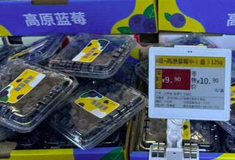 内地蓝莓价格暴跌 福建女每日食半斤，仅2日出事