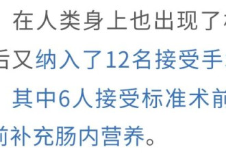 饿16小时竟能抗癌？科学轻断食得这么做