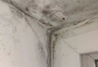 外墙渗水致居室霉变无法居住 业主全家打地铺睡一年