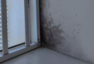 外墙渗水致居室霉变无法居住 业主全家打地铺睡一年