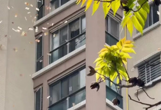 汕头惊现大妈“天女散花” 撒2百万港币引路人疯抢
