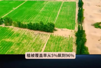 十万头猪让“沙漠变绿洲”？当地回应....