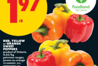 本周特价: 牛奶$5.17 草莓、哈密瓜$1.99 猪肋排$2.5 10lb土豆$2