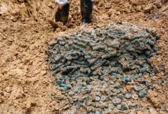 湖南邵阳一工地挖出大量古钱币 预估约3吨
