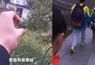 小学生路边认出罂粟 报警带路“扫毒” 网惊：连我都认不出来