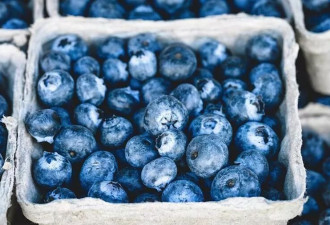 女子狂嗑蓝莓“胃长石头”痛到送急诊 医:4族群别乱吃