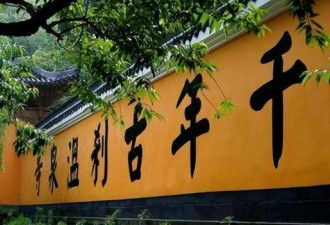 中国富豪强拆佛寺建会所，三年后与儿异国坠机亡