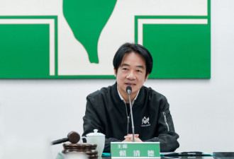 郑丽文被鼓吹选2028 她摇头：最该担心的是他