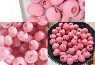 最近最流行的“粉色蓝莓”，1斤400元？