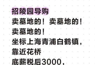 对天价墓地"祛魅"：塑料袋装骨灰 讲不了价就海葬
