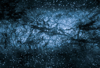 颠覆认知 暗物质可能是另一个宇宙残余物
