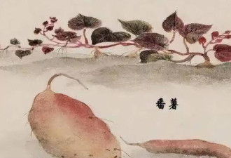 古代穷人每天吃什么 你可能一天都撑不下去