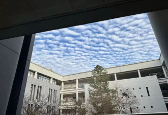 困在学术流水线上的年轻人，越狱失败