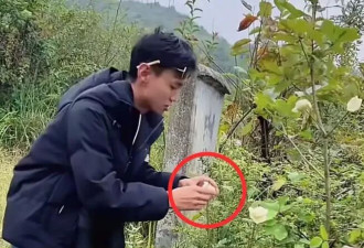 知名网红意外离世，平时爱拍墓地相关的内容