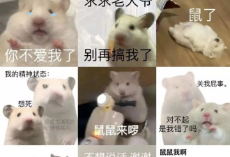 从MBTI到SBTI：我们在放弃什么，又在追求什么？