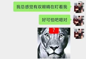 中国女游客在韩青旅被日男骚扰：对着她床铺小便，下跪称认错厕所