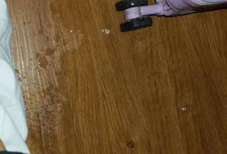 中国女游客在韩青旅被日男骚扰：对着她床铺小便，下跪称认错厕所